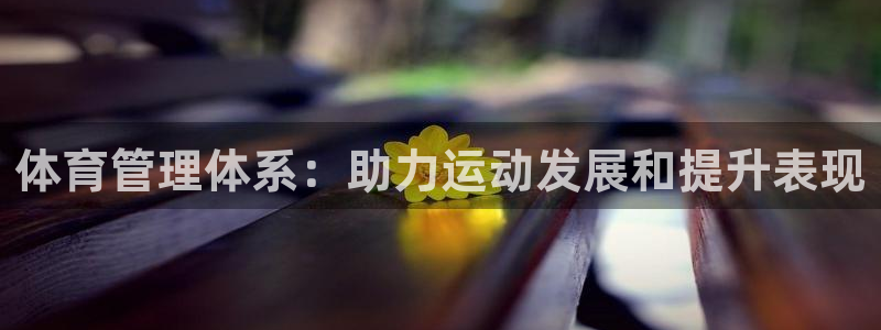 必一体育运动官网：体