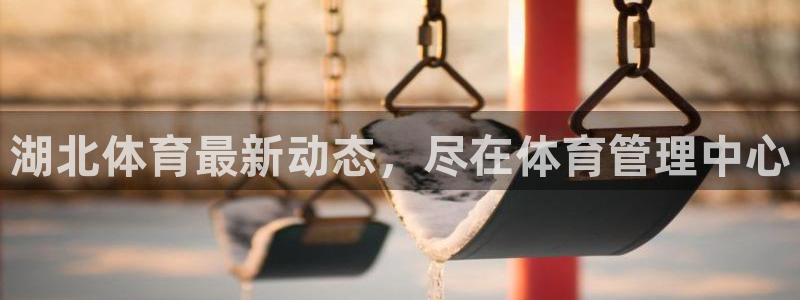 必一体育app官方下载入口