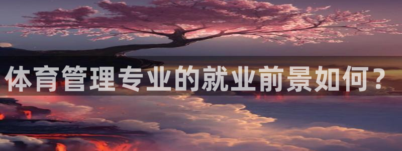 必一体育平台