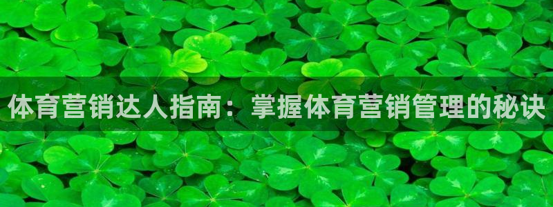 必一体育sport网
