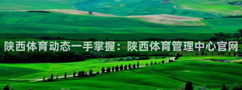 必一体育在线官网：陕