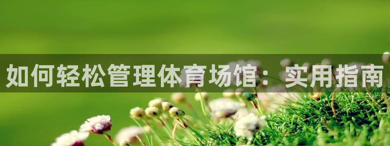必一体育全站在线登录入口