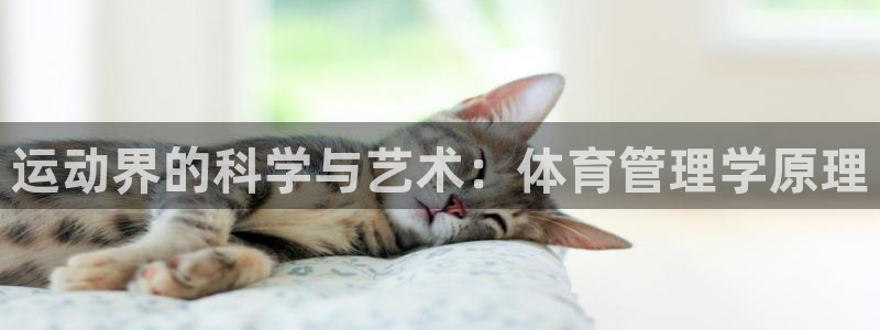 必一体育怎么下载