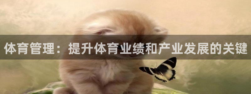 必一体育sport网