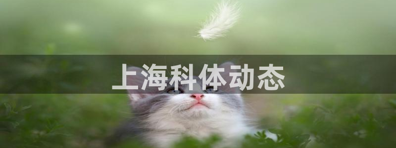 必一运动体育官网下载