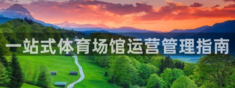 必一体育sport官方网站