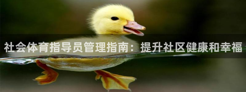必一体育运动app下