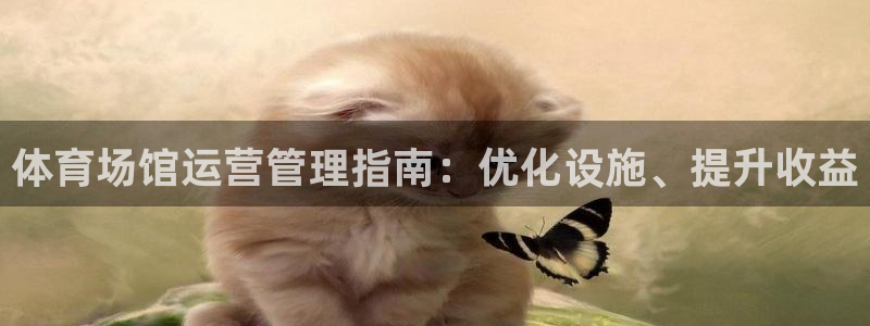 Bsport体育必一