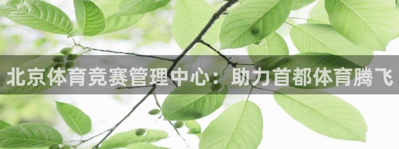 必一体育网页版登录