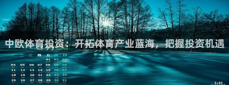 必一体育黑钱：中欧体