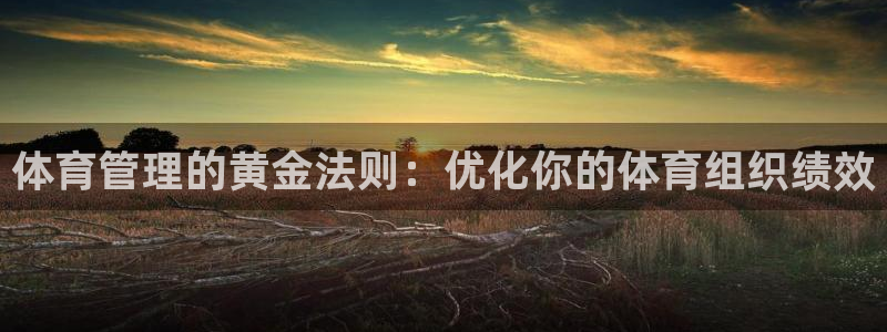 必一体育APP下载安装
