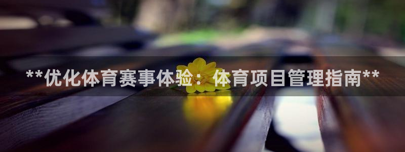 必一体育官网app