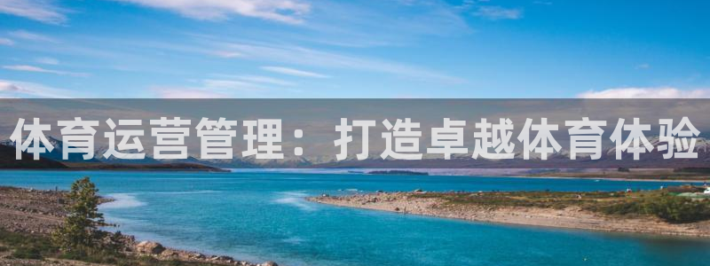 必一体育网页