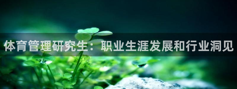 必一体育官方网站入口