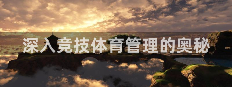必一体育app平台下