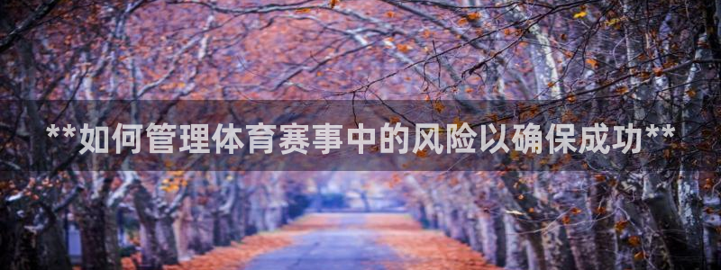必一体育sport网