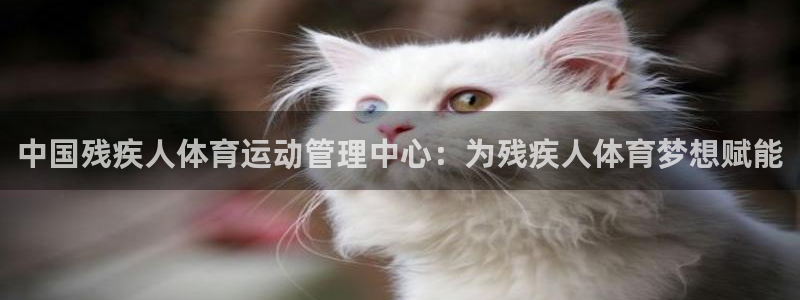 必一体育APP下载安