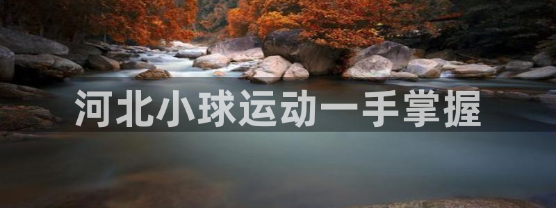 必一体育是啥