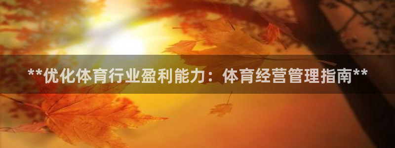 必一体育sport官