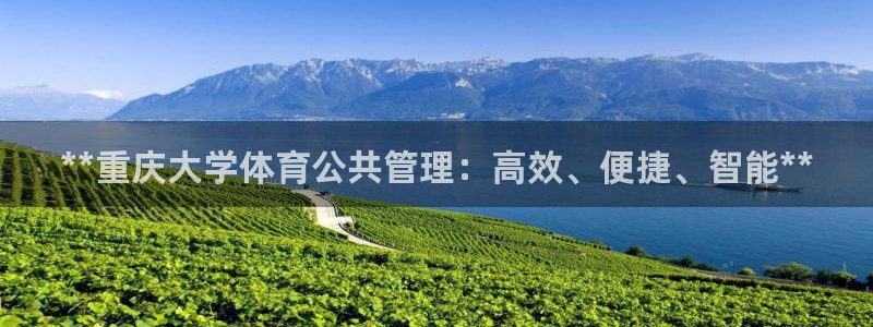 必一体育app平台下