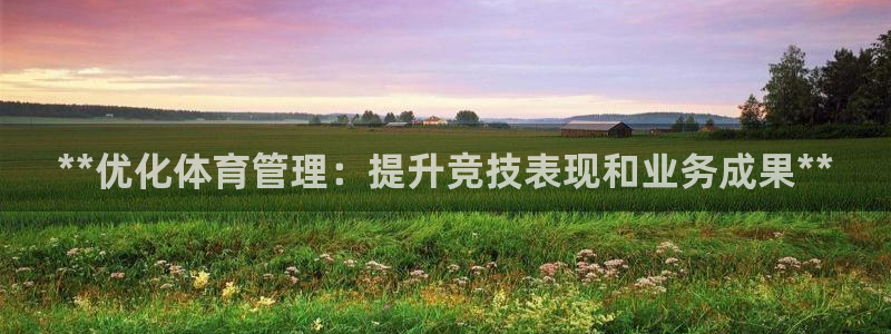 必一体育app平台下