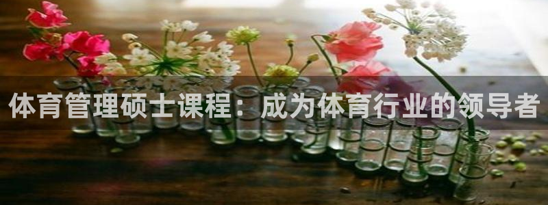必一运动体育官网下载