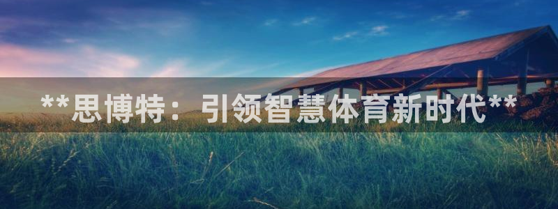 必一体育可靠吗