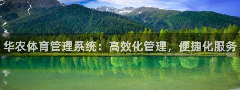 必一体育APP下载安装
