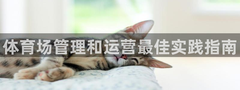 必一运动sport网