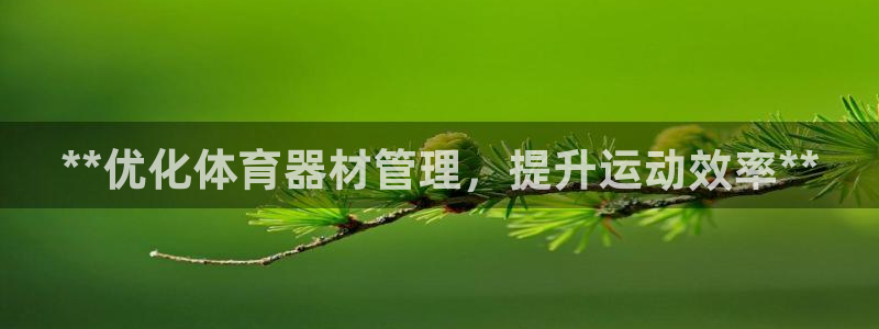 必一体育网页登录版官
