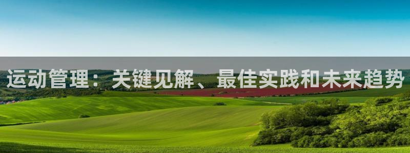 必一体育服下载最新版