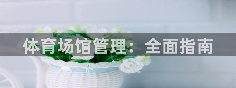 必一体育app下载