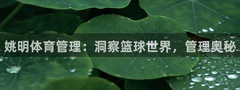 必一运动验证码