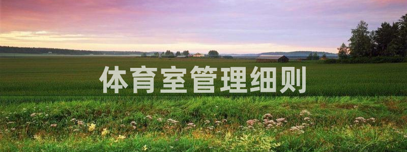 必一运动sport网页版
