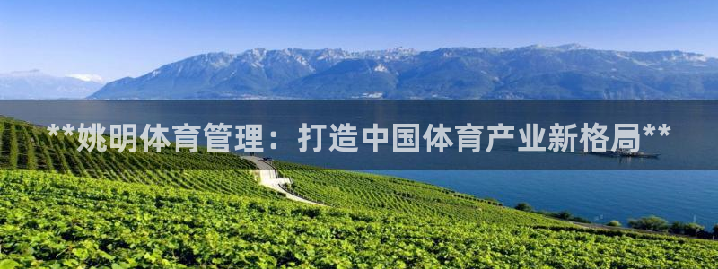 必一体育官网网址