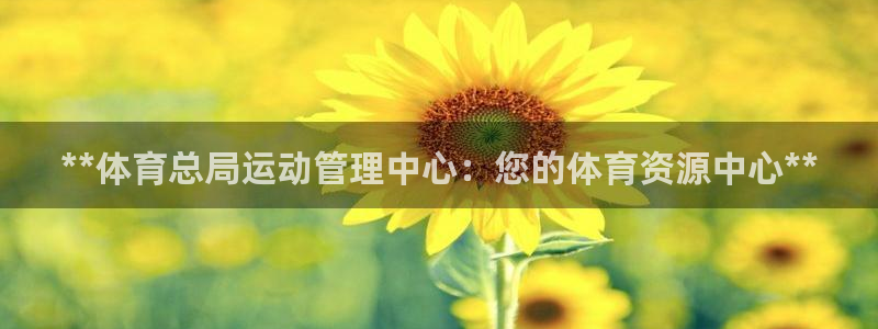 必一体育流水线是什么