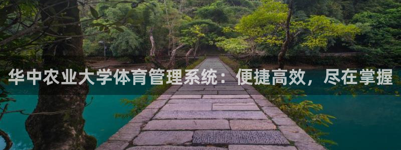 必一体育旧版