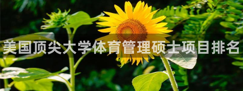 必一体育app下载装机吧