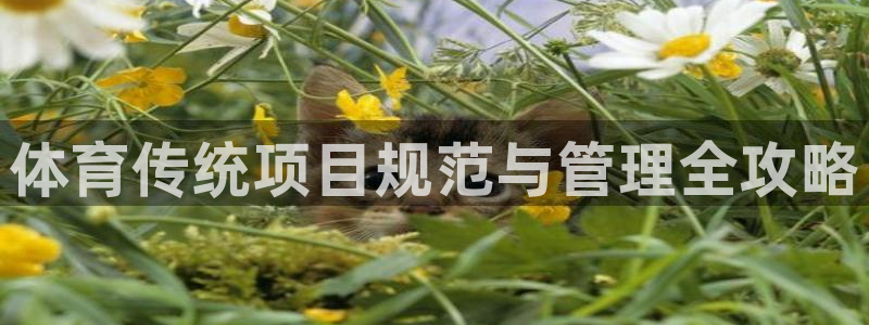 Bsport体育ap