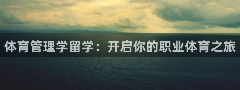 必一体育在线入口