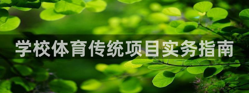 b体育必一运动网页版