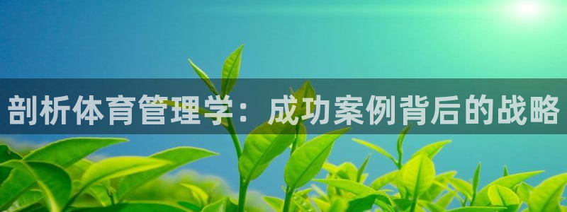 必一体育sport