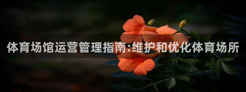 必一体育app下载最新版本苹果