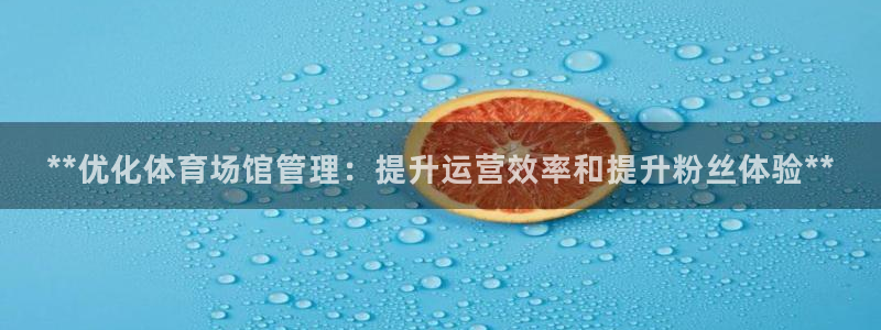 必一体育sportB