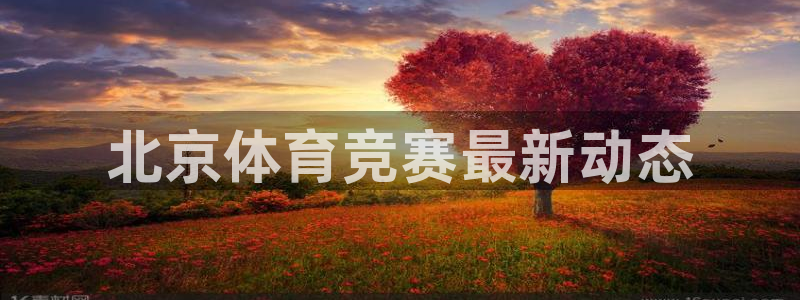 必一体育下载入口