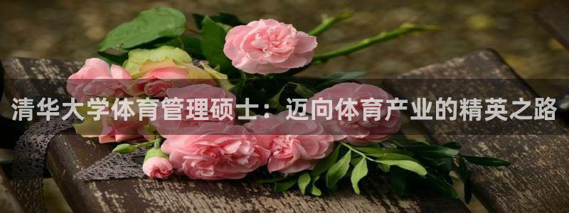 必一体育登入：清华大
