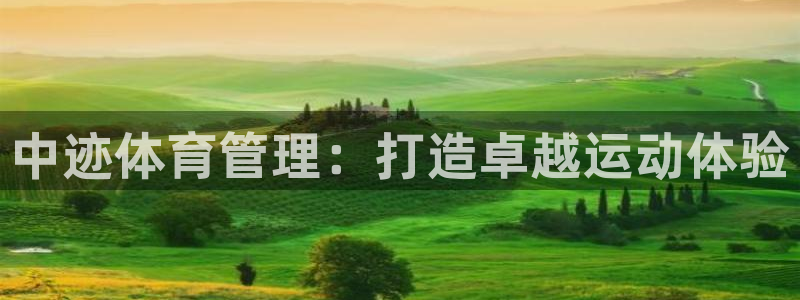 必一体育游戏特色