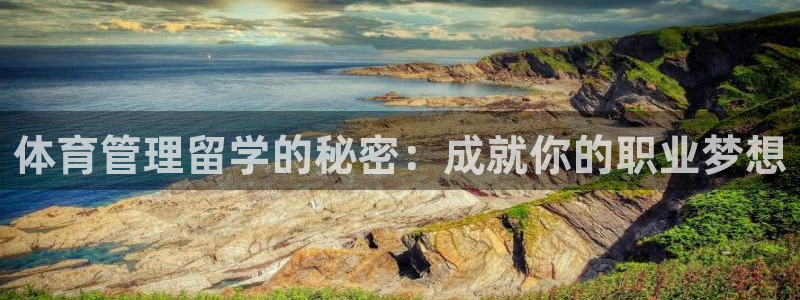 必一体育在线官网