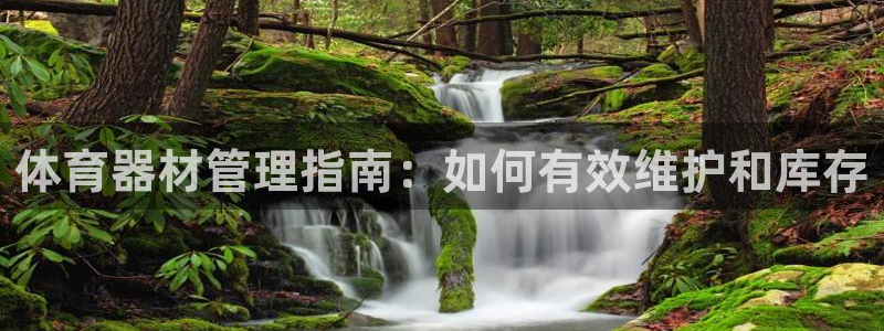 必一体育网站