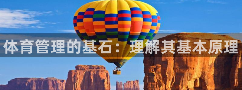 必一体育网页版登录